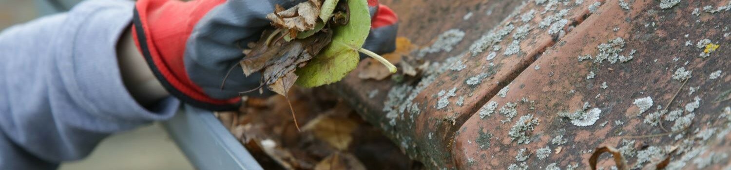 Nettoyage et démoussage des bardages, toitures, gouttières, toits plats