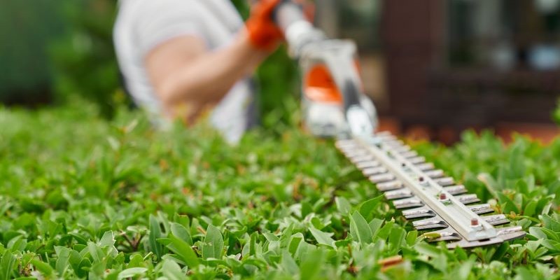 Entretien et aménagement des espaces verts, jardins, parcs : pelouses, haies, plantations