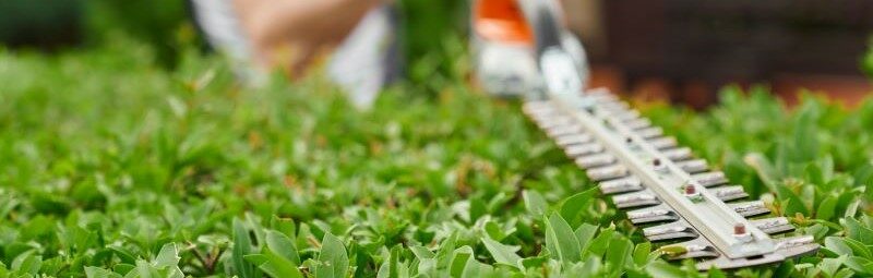 Entretien et aménagement des espaces verts, jardins, parcs : pelouses, haies, plantations