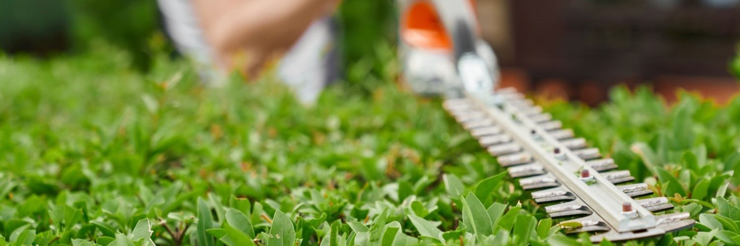 Entretien et aménagement des espaces verts, jardins, parcs : pelouses, haies, plantations